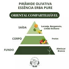 Pirâmide Olfativa (Perfume Inspirado)